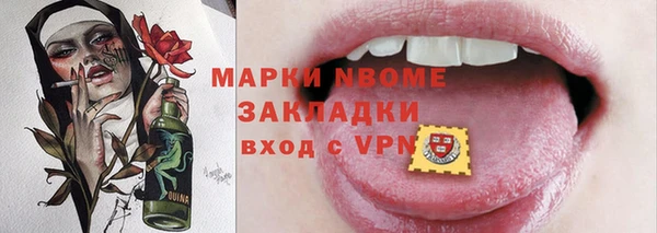 прущие грибы Новозыбков