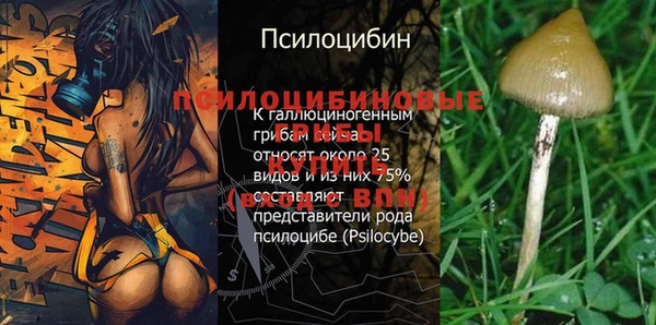 бутик Новокубанск