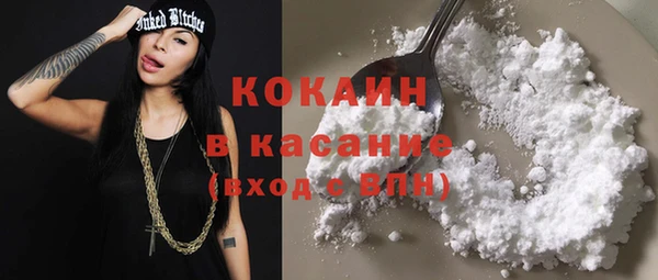 прущие грибы Новозыбков