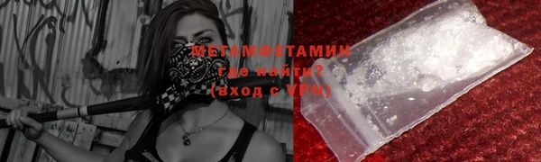 прущие грибы Новозыбков