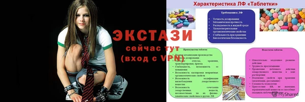 прущие грибы Новозыбков