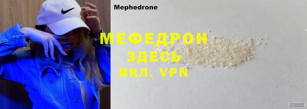 прущие грибы Новозыбков