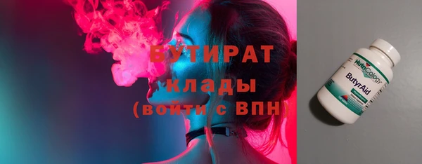 прущие грибы Новозыбков