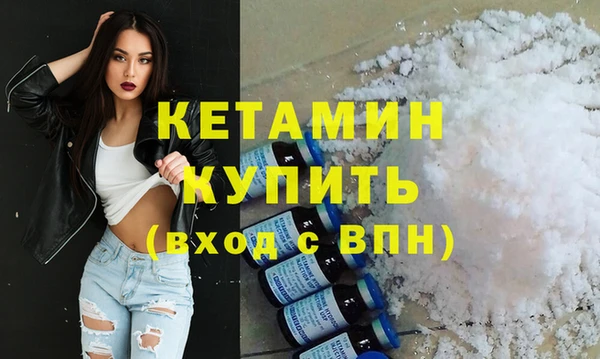 прущие грибы Новозыбков