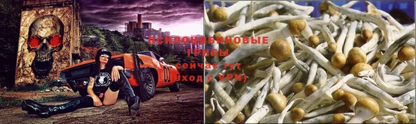бутик Новокубанск
