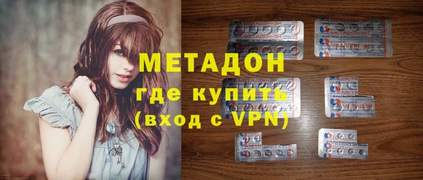 прущие грибы Новозыбков