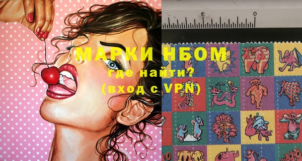 прущие грибы Новозыбков