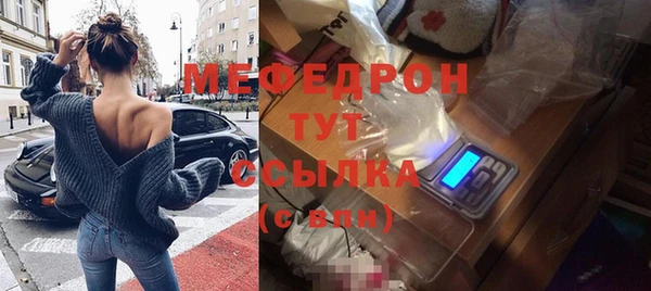 прущие грибы Новозыбков