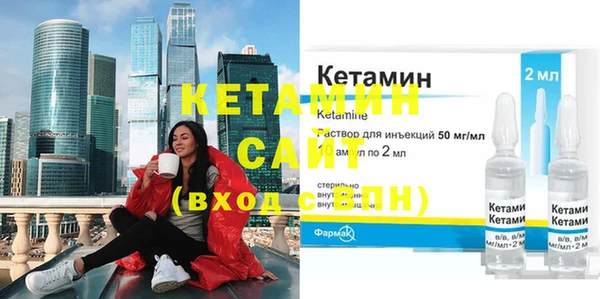 прущие грибы Новозыбков