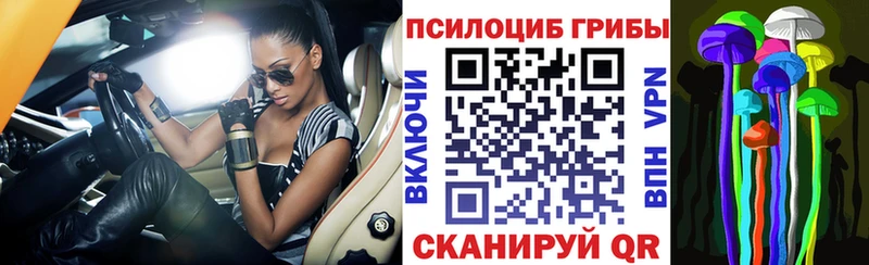 магазин    Владивосток  Галлюциногенные грибы Cubensis 